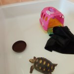phoca_thumb_m_elva 37 Fotogalerie